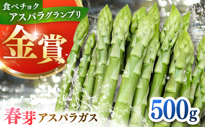 身体にやさしい こだわり 春芽アスパラガス 約500g【ひがじま農園】アスパラ [ICW005]
