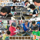 【ふるさと納税】東松山市化石と自然の体験館優待券 (3名分) | 埼玉県 東松山市 発掘 自然科学 学習 地質学 アクティビティ 教える 勉強 体験施設 学び 観光スポット 修学旅行 自然 家族 お出かけ 化石 発見 思い出 レジャー チケット 楽しい 驚き サメの歯 面白い 歴史