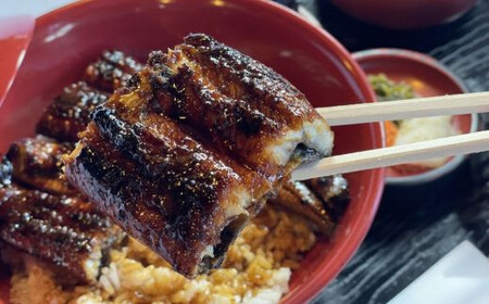 H-02 志おや 九州産 うなぎ 蒲焼 3本 タレ 付