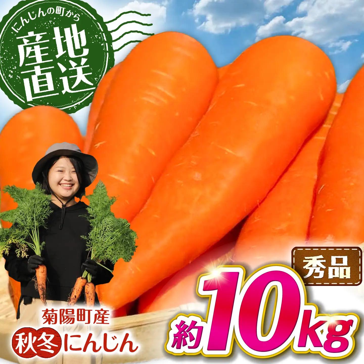 【先行予約】2026年11月より順次発送 菊陽秋冬にんじん 秀品 約10kg / にんじん BHDL005