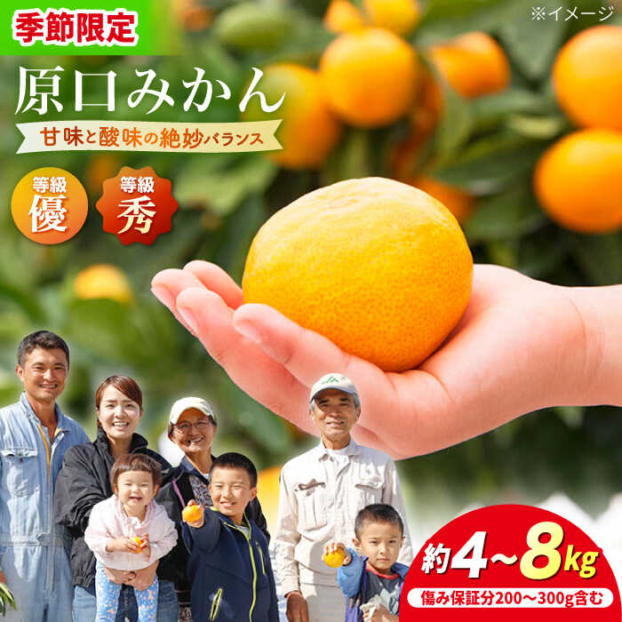 【ふるさと納税】【11月下旬より配送開始 】 原口みかん 約4kg or 約8kg（傷み保証分含む）＜川添みかん園＞ [CCT002] 西海 みかん 温州みかんミカン 蜜柑 果物 柑橘 デザート 剥きやすい 甘味 果汁 おやつ お土産 プレゼント 贈答 ギフト 甘い