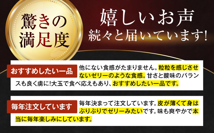  紅まどんな 4L〜2L玉サイズ 約3kg（8玉〜12玉入）【先行予約】【11月下旬から順次発送】化粧箱入 果物 フルーツ みかん ミカン まどんな 愛媛県大洲市/愛媛たいき農業協同組合[AGAO00