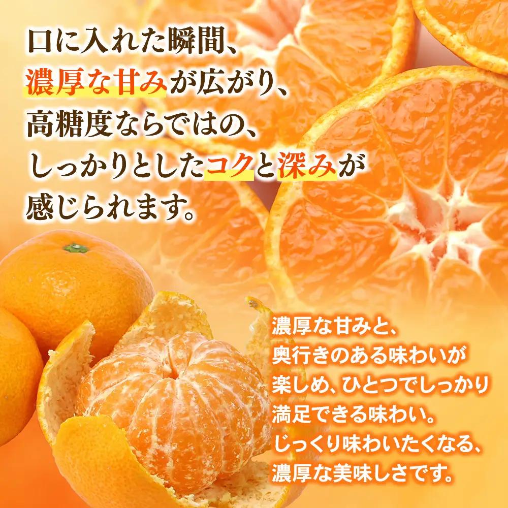 みかん 味3号 温州みかん 約10kg【mntf0006】