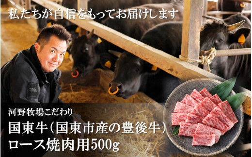 
国東牛（国東市産の豊後牛）ロース焼肉用（1口カット）500g_2210R
