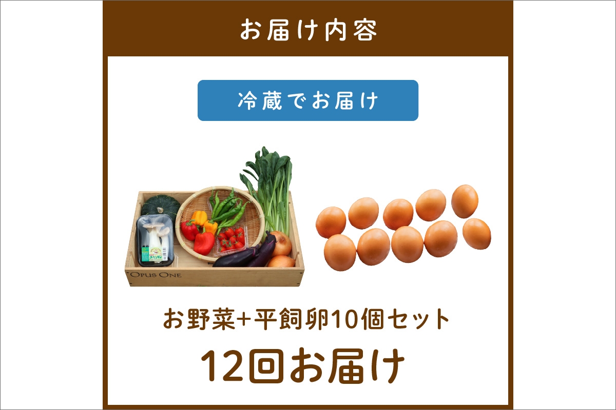 【定期便】合計12回お届け　有機野菜・京野菜の『京都やおよし』のお野菜＆平飼玉子10個の詰め合わせ　AA00036