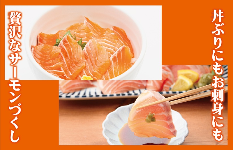 アトランティックサーモン  お試し 600g【生食可 小分け 200g×3P 柵切り 刺身 魚介 海鮮】 G3544