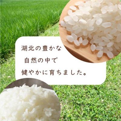 ふるさと納税 長浜市 令和6年産 滋賀県湖北産 湖北のコシヒカリ　白米　18kg　【食味最高ランク特A 3年連続受賞】 |  | 01