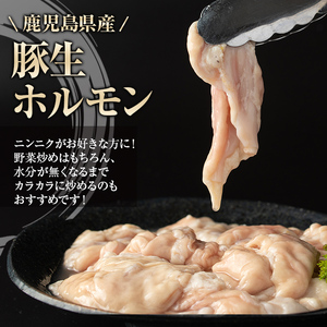 【C79011】＜定期便・全6回＞豚生ホルモンにんにく醤油味付(計5.28kg・220g×4P×6回) 鹿児島 豚肉 ホルモン 生ホルモン にんにく 醤油 おかず 加工品 味付け おつまみ 小分け パ