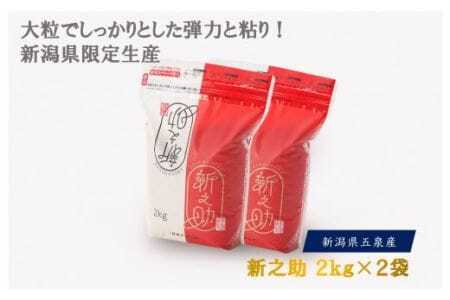 【令和7年度産米】新之助 精米 4kg（2kg×2袋）〈10月上旬以降順次発送〉 |五泉市 新之助