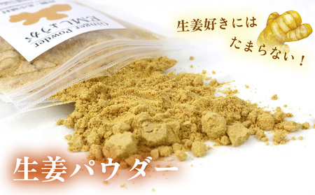 【きたなか荘】しょうがパウダー 40g×4袋 しょうが パウダー ジンジャー しょうが湯 生姜 粉末 調味料 弁当 家庭料理 温かい飲み物 簡単 料理 手軽 お取り寄せ 調味料 安心 安全 おきなわ 