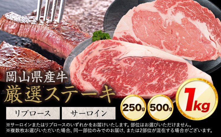 
                  岡山県産牛 ステーキ サーロイン リブ 交雑牛 選べる 250g 500g 1kg お試し 大容量《60日以内に出荷予定(土日祝除く)》 岡山県 浅口市 肉 ステーキ 送料無料
                