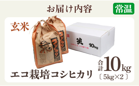 【先行予約】【令和7年産 新米】エコ栽培コシヒカリ 玄米10kg（5kg×2） ／ 鮮度抜群 福井県産 こしひかり ご飯 新鮮 玄米 ※2025年10月上旬より準備出来次第発送 [aw063-a003