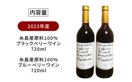 2023年産 糸島産ブルーベリー・ブラックベリーワイン 720ml×2種セット 糸島市 / HYM FARM ワイン ブルーベリー  [AHM002]