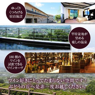 ふるさと納税 甲州市 スパークリングワイン「重畳」(白・辛口)ハーフボトル6本セット C-679 |  | 03