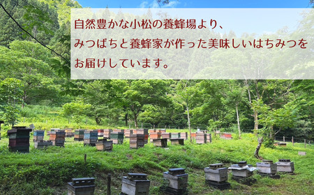 はちみつセット あかしあ＆桜 400g×2本 はちみつ