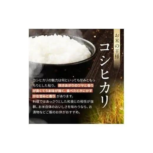【定期便6回】栃木県産 こしひかり 玄米 5kg 2026年 先行予約 新米 | 栃木県 矢板市