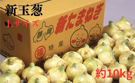 【2024年2月より順次発送】新玉葱　Lサイズ　約10kg