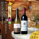 【ふるさと納税】 さっぽろワイン 赤 白 ワイン セット 750ml 各1本 計2本 飲み比べ ヤマ・ソービニオン ピノ・グリ 赤ワイン ミディアム 辛口 白ワイン アルコール お酒 記念日 誕生日 ギフト プレゼント 北海道 札幌市