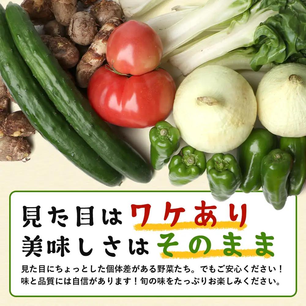 【規格外】本土最南端から 旬のお試し 野菜セット 8品目以上 NI-2 ｜ 旬 野菜 やさい 果物 くだもの 産地直送 農産物 冷蔵 鹿児島県 南大隅町産 詰合せ おまかせ 家庭用 訳あり なんたん市