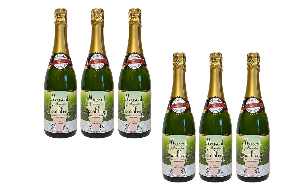 
                  ふなおワイナリー マスカット・オブ・アレキサンドリア（スパークリングワイン） 750ml×6本【ワイン スパークリングワイン ふなおワイナリー お酒 酒 さけ岡山県 倉敷市 人気 おすすめ】
                