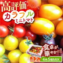 【2024年11月中旬〜2025年5月下旬発送分】【ふるさと納税】【お歳暮対象】 カラフル ミニトマト 4色5種MIX 1.2kg 【小値賀町】長崎 五島列島 国産《りんたろうファーム》 [DAE001] トマト とまと ミニとまと 野菜 サラダ お弁当 常温