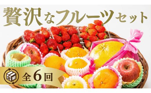 A121 選べる！ご褒美フルーツ定期便（年6回）