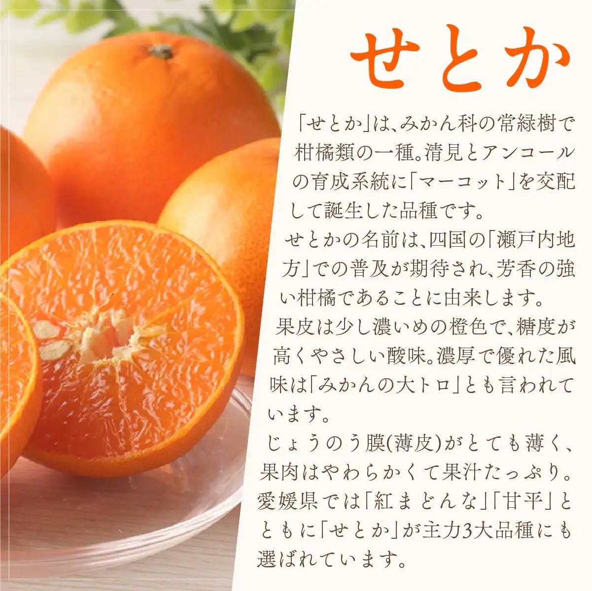 【先行受付】★訳アリ★【数量限定500箱】　愛媛・小林果園のせとか　約5キロ【D24-38】【1711119】 YWTAD029