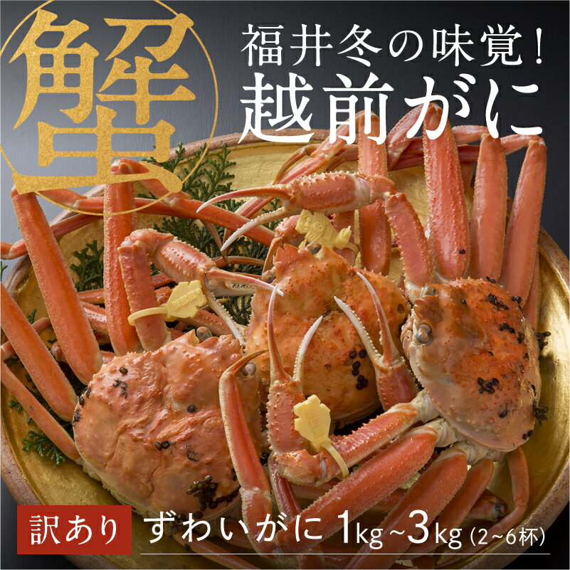 【ふるさと納税】【特別価格期間延長！】【選べる容量！産地直送】福井の冬の王様！【訳あり】越前がに [H-00916] / ズワイガニ ズワイ蟹 ずわい蟹 ずわい 剥き身 脚 爪 脚 かにしゃぶ カニ鍋 蟹 お歳暮 カニ かに