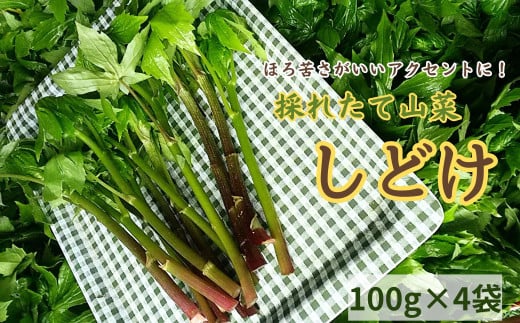 間澤さんの愛情たっぷり「しどけ」100g×4袋 春の味覚 山菜 季節限定 山の恵 新鮮 採れたて