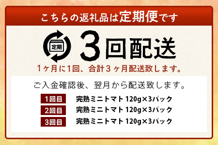 【3回定期便】【先行受付】2027年1月より順次発送予定【少量パック】完熟ミニトマト 360g (120gx3p) | トマト プチトマト 野菜 農家直送 ギフト 人気 佐賀県鹿島市 たにぐちファーム