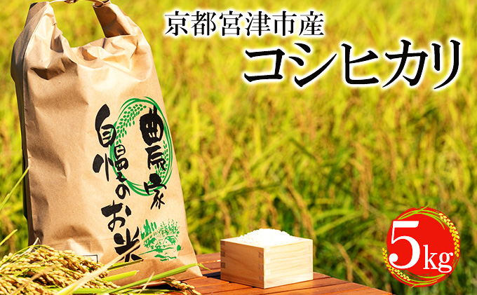 令和6年産 京都宮津市産コシヒカリ 5kg お米 白米 精米 コシヒカリ 5キロ 送料無料 ギフト ごはん ご飯 おにぎり お弁当