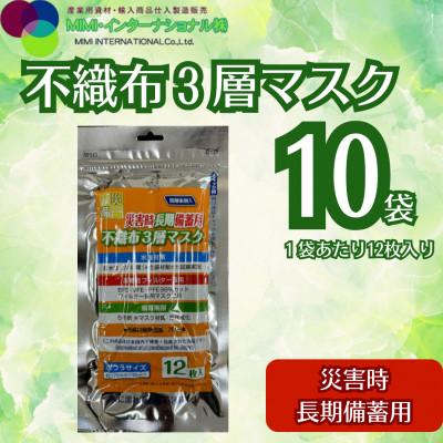 ふるさと納税 越谷市 災害時長期備蓄用　不織布3層マスク 12枚入　10袋