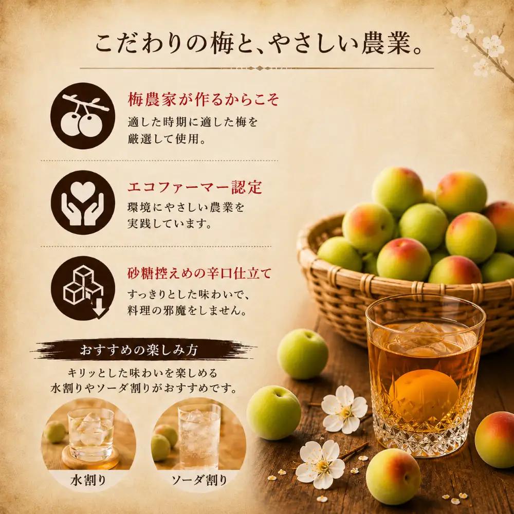 【ごちそうアワード2025 飲料部門 銀賞】 梅酒 治三郎 720ml 超辛口 うめしゅ 【梅酒】