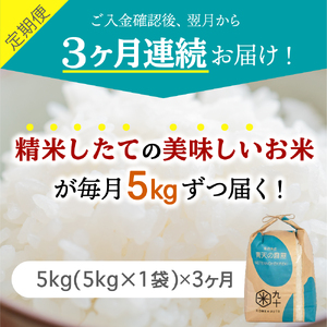 【定期便 3ヶ月】 米 青天の霹靂 5㎏ 青森県産 【特A 8年連続取得 一等米】（精米）