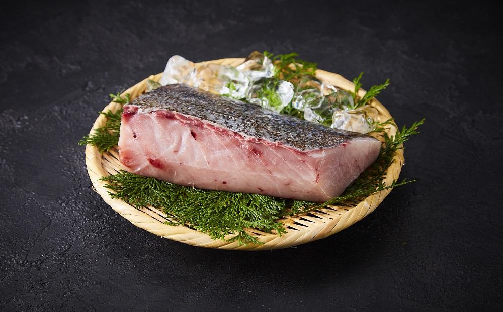 屋久島産 天然カンパチ 約1kg（約500g×2） ブロック 冷凍 真空パック