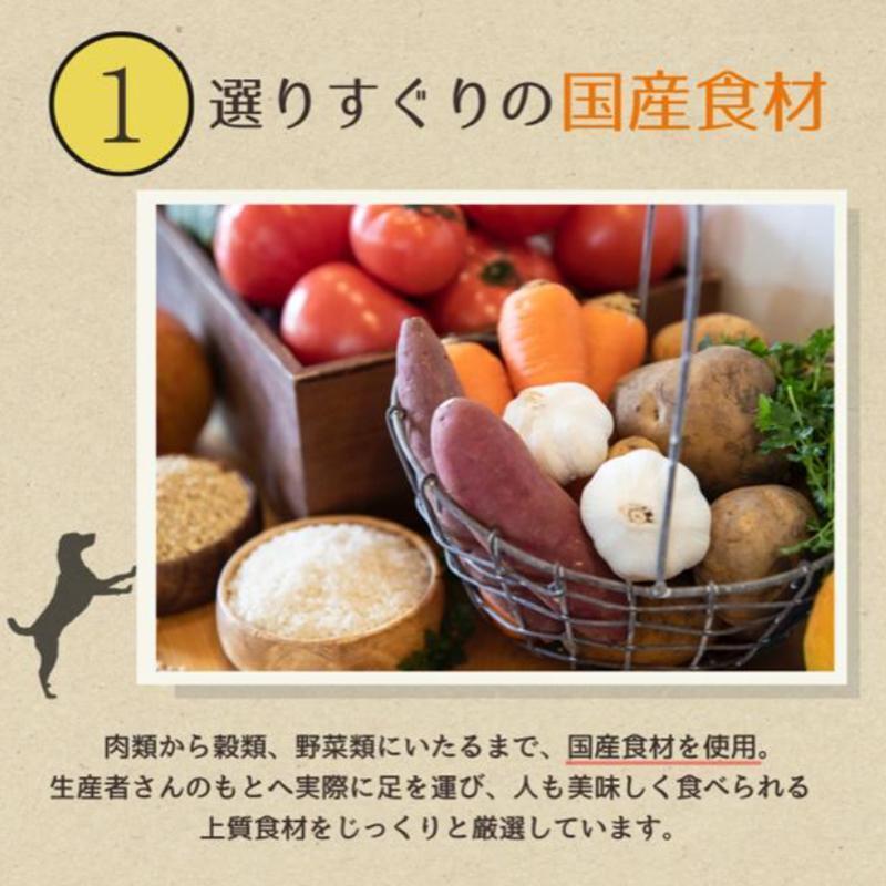 【定期便6か月】愛犬ごはん【ひとつごはん】とりぽてと500g 250g×2
