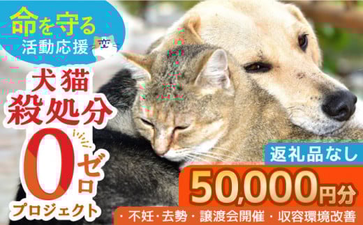 【お礼の品なし】犬猫殺処分ゼロプロジェクト＜50,000円＞長崎県ふるさと納税[42ZZAE005]長崎 長崎の変 動物 犬 猫 いぬ ねこ イヌ ネコ 保護犬 保護猫 支援 応援 動物愛護 保護 どうぶつ 地域猫 寄付のみ