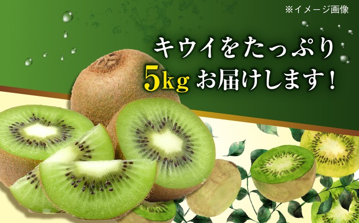 食品 果物 フルーツ キウイ キウイフルーツ きうい キュウイ 南国果物 愛媛県 大洲市 デザート スイーツ 人気