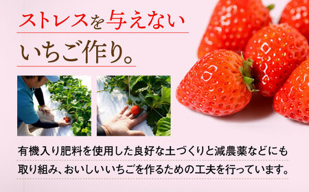 【先行予約】【全4回定期便】さがほのか 220g×2パック×4回 / 佐賀県 / 鐘ヶ江農園[41ASBK004]