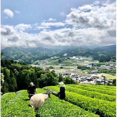 ふるさと納税 和束町 【6本】和束茶の香りを存分に味わうスパークリングティー | Apoptosis Sparkling |  | 03