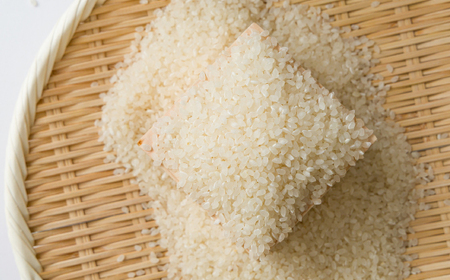 【食味鑑定士厳選】岡山県産 コシヒカリ20kg(5kg×4袋)【1643913】