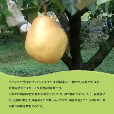 ふるさと納税 赤磐市 梨 パスクラサン トーストようかん 6箱 セット (1箱×3枚入) 羊羹 [NO5765-0978] |  | 02