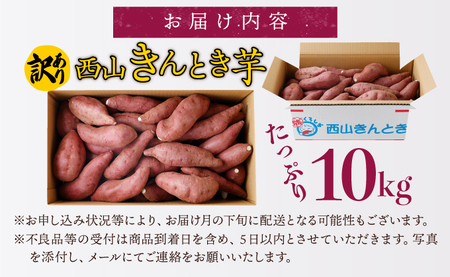 【令和７年１０月お届け】【訳あり】西山きんとき芋 10kg 新芋 さつまいも サツマイモ さつま芋 焼き芋 やきいも ヤキイモ 野菜 大小混合 傷 故郷納税 送料無料 ta025