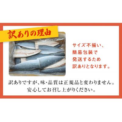 ふるさと納税 石巻市 さば 〈 訳あり 〉10月配送 宮城県産 寒さば フィーレ 無塩 1.5kg 冷凍 魚 青魚 鯖 |  | 03