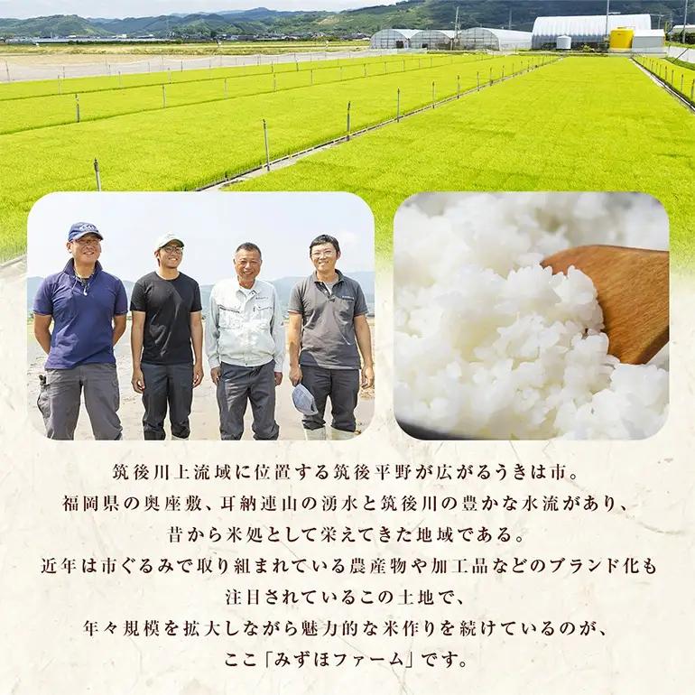 【ふるさと納税】玄米 ひのひかり UKIHA RICE 3kg 特別栽培米 ヒノヒカリ 令和7年産 米 こめ ご飯 コメ ごはん ヘルシー 送料無料 国産 国産米 福岡 返礼品 お弁当 家庭用 ギフト