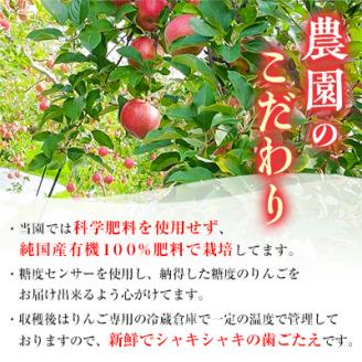 りんご サンふじ 糖度14度以上保証 約5kg 訳あり 大玉 家庭用 _A2-806【配送不可地域：離島】