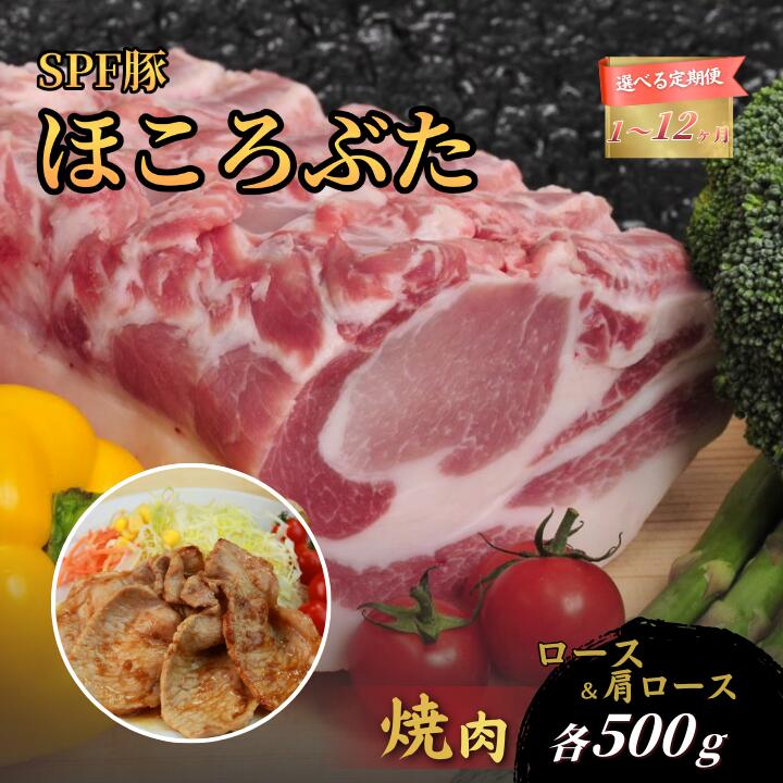 【ふるさと納税】千葉県産 下山農場 SPF豚 「 ほころぶた 」（ 焼き肉用 ）選べる定期回数 ／ SPF豚 豚肉 ほころぶた 焼き肉 焼肉 ロース 肩ロース 定期便