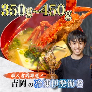 伊勢海老 350～450g 冷凍 鍋 刺身 高級 伊勢エビ イセエビ 高知県 須崎市 伊勢海老 刺身伊勢 海老蒸し 伊勢海老 海鮮丼 伊勢えび おさしみ 伊勢えび カルパッチョ 伊勢えび 粉チーズ 伊勢えび バジル 伊勢海老 フレンチ 伊勢エビ イタリアン 伊勢エビ お正月 伊勢エビ おせち 伊勢エビ 贅沢 伊勢えび ぷりぷり 伊勢えび 丸ごと 伊勢えび 食べたい  伊勢海老 懐石