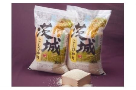 No.178 【令和6年産】茨城県坂東産　コシヒカリ20kg（精米）