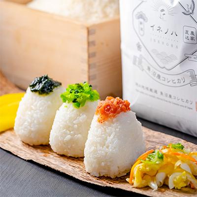 ふるさと納税 十日町市 【毎月定期便】魚沼産コシヒカリ「イネノハ」精米(3kg×3個)×12回【合計108kg】全12回 |  | 02